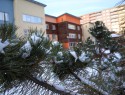 Zima, prosinec 2013