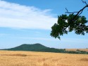 Vladař 1