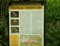 Dalejské údolí - průzkum trasy 
