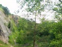 Dalejské údolí - průzkum trasy 